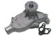 1992 C4 Corvette Water Pump W/Pump Drive Seal - As-Cast Finish - LT1