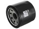 AFE Filters 44-LF017 Pro GUARD D2 Oil Filter