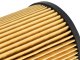 AFE Filters 44-LF022 Pro GUARD D2 Oil Filter