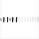 1973-1988 Chevrolet Pickup Truck Exterior Cab Molding Sets