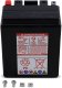 Yuasa YTX14L 12V Factory Activated AGM Battery - Made in the USA