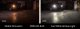 1156 XP80 LED Bulb Cool White Single Diode Dynamics DD0009S