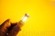 7443 LED Bulb XP80 LED Amber pr Diode Dynamics DD0114P