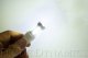 7443 LED Bulb XP80 LED Cool White Single Diode Dynamics DD0116S