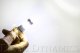 5202/PSX24W XP80 LED Cool White pr Diode Dynamics DD0173P