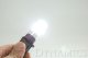 P13W HP48 LED Cool White pr Diode Dynamics DD0188P