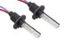 HID Bulb D2H 4300K pr Diode Dynamics DD1201P
