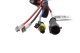 HID Bulb D2H 8000K pr Diode Dynamics DD1204P