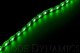 LED Strip Lights Red 50cm Strip SMD30 WP Diode Dynamics DD2198