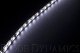 LED Strip Lights Cool White 200cm Strip SMD120 WP Diode Dynamics DD2208