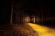 6" LED Light Bar Single Row SS6 Amber Driving Light Bar Single Diode Dynamics