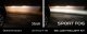 SS3 LED Fog Light Kit for 2011-14 F150 WHT SAE/DOT Driving Pro Diode Dynamics
