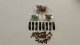 1969 Dodge Charger Grille Trim Fastener Clips Set by Vans Auto