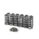 1989-1998 Dodge 5.9L Cummins XDP Performance Valve Springs and Retainer Kit