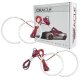 For Dodge Charger 2005-2008 LED Tail Light Halo Kit Oracle