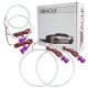 For Volkswagen Jetta 2005-2010 PLASMA Halo Kit Oracle