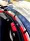 2020-2025 C8 Corvette Painted Engine Bay Hatch Trunk Lid Cover