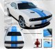 2015-2023 Dodge Challenger Challenge Rally Stripe Kit