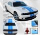 2015-2021 Dodge Challenger Challenge Rally Stripe Kit