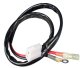 2010-2023 Ford F-150 SPAL Jumper Harness