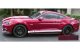 2015-2017 Mustang GT Rocker Stripe with GT cutout