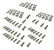 C6 and C5 Corvette Stainless Steel Screws Kit